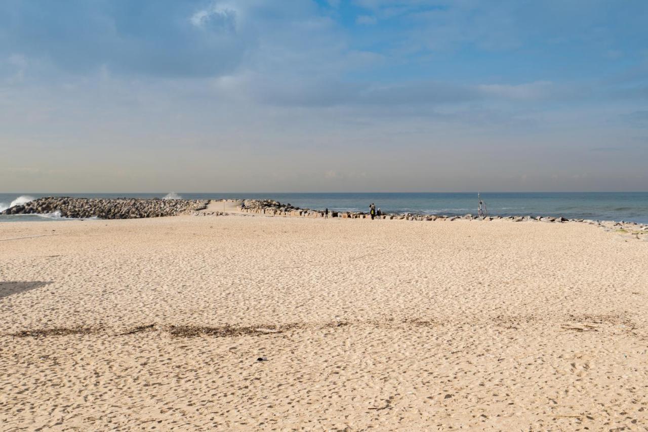 Host Wise - Spacious Fresh Flat W Terrace - Near Sea Espinho  Zewnętrze zdjęcie